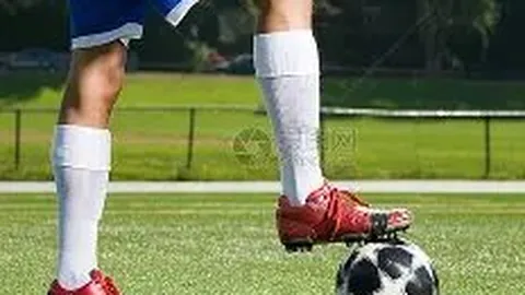 好博体育 产品 232331 nrc